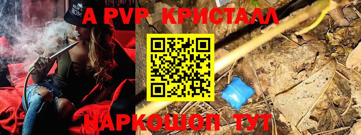 Alfa_PVP СК КРИС Минеральные Воды