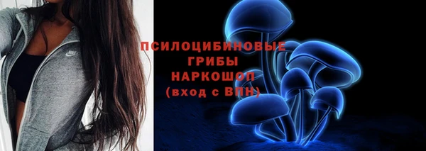 эйфоретик Бородино