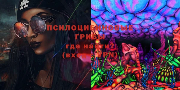 эйфоретик Бородино