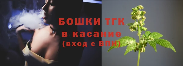 эйфоретик Бородино
