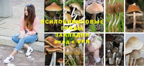 jwh Бугульма