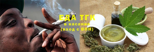 эйфоретик Бородино