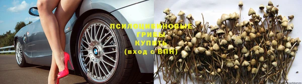 эйфоретик Бородино