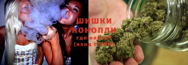 эйфоретик Бородино