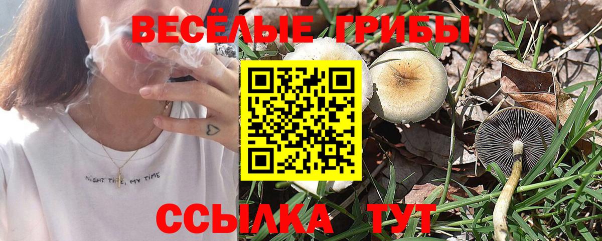 Галлюциногенные грибы Magic Shrooms Минеральные Воды