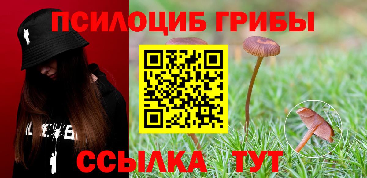 Минеральные Воды  ГАШ  Вход с VPN  COCAIN  Марихуана  ГАШИШ  Меф  Мефедрон  