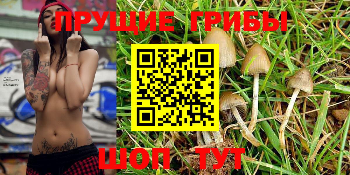 Галлюциногенные грибы Magic Shrooms  Вход с VPN  Минеральные Воды  Галлюциногенные грибы мухоморы 
